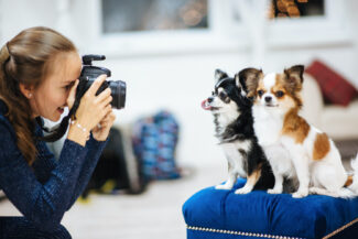 Pet Photography Palm Beach