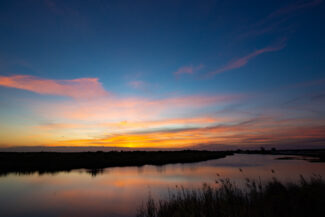 stunning visuals of the everglades at sunset